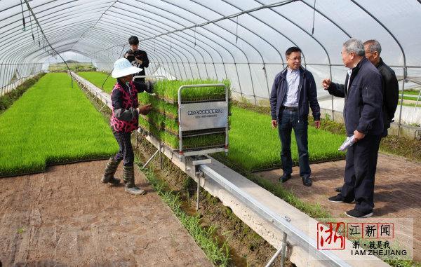 温岭:农民种水稻 全程机械化